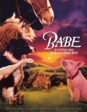 Babe (1995) หมูน้อยหัวใจเทวดา