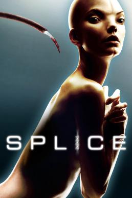 Splice (2009) สัตว์สาวกลายพันธุ์ล่าสยองโลก