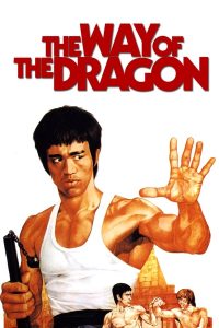 The Way of the Dragon (1972) ไอ้หนุ่มซินตึ๊ง…บุกกรุงโรม