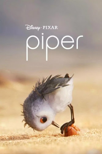 Piper (2016) แอนิเมชั่นสั้น ฉายปะหน้า Finding Dory