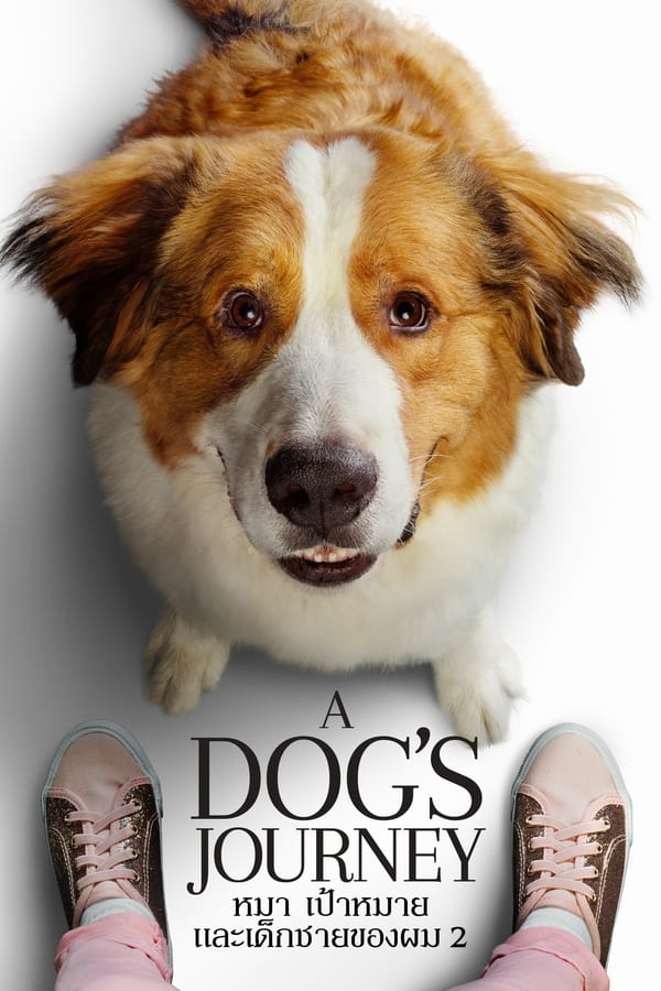 A Dog’s Journey (2019) หมา เป้าหมาย และเด็กชายของผม 2