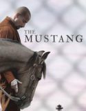 The Mustang (2019) ม้าป่าแสนพยศ