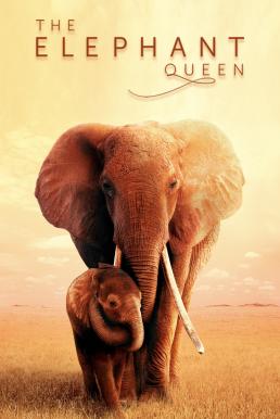 The Elephant Queen (2019) พากย์ไทย