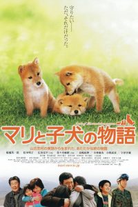 A Tale of Mari and Three Puppies (2007) เพื่อนซื่อ… ชื่อ มาริ