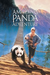 The Amazing Panda Adventure (1995) แพนด้าน้อยผจญภัยสุดขอบฟ้า