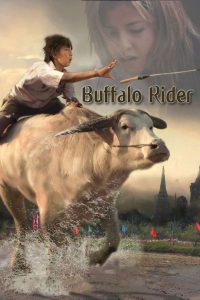 Buffalo Rider (2015) ประเพณีวิ่งควาย