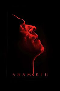 Anamorph (2007) แกะรอยล่าฆาตกรโหด