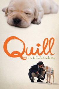 Quill The Life of a Guide Dog (2004) โฮ่งฮับ เจ้าตัวเนี้ยซี้ร้อยเปอร์เซ็นต์