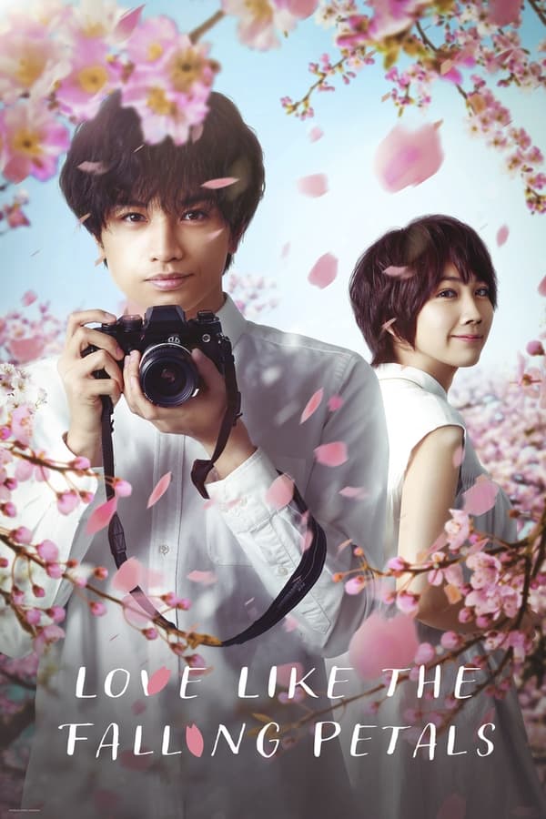 Love Like The Falling Petals (2022) ใบไม้ผลิที่ไม่มีเธอเป็นซากุระ