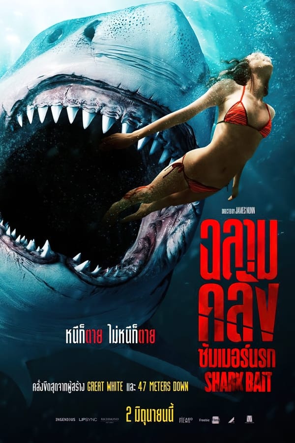 Shark Bait (2022) ฉลามคลั่ง ซัมเมอร์นรก