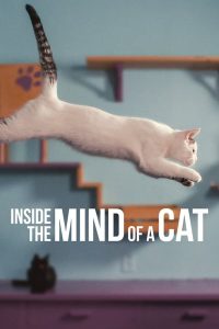 คิดแบบแมวๆ Inside the Mind of a Cat (2022)