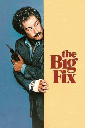 The Big Fix (1978)