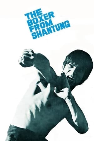 The Boxer from Shantung (1972) นักชกจากชานตุง