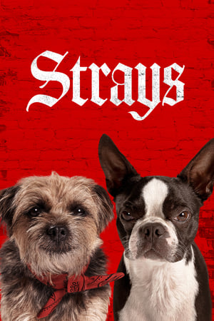 Strays (2023) ชีวิตหมาต้องไม่หมา