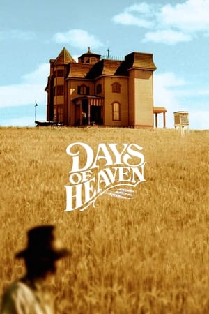 Days of Heaven (1978) สวรรค์ต้องพราก