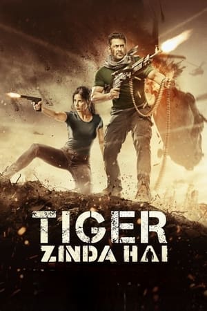 Tiger Zinda Hai (2017) ไทเกอร์ซินดาไฮ